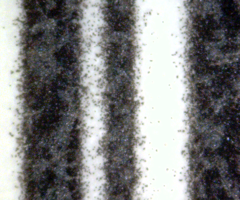 テクノベインズの検証サービスで用いる電子顕微鏡で撮影したバーコード拡大画像。LPS-6500で印刷したバーコードを約215倍拡大